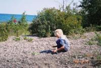 Finding Shells!