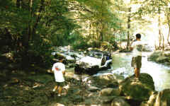 Yes we let Jeeps ride with us. Mike at the creek crossing on Trail 5